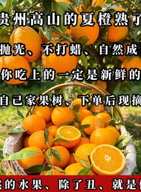 贵州毕节深山农家夏橙橙子新鲜橙子现摘现发当季水果华橙老品种
