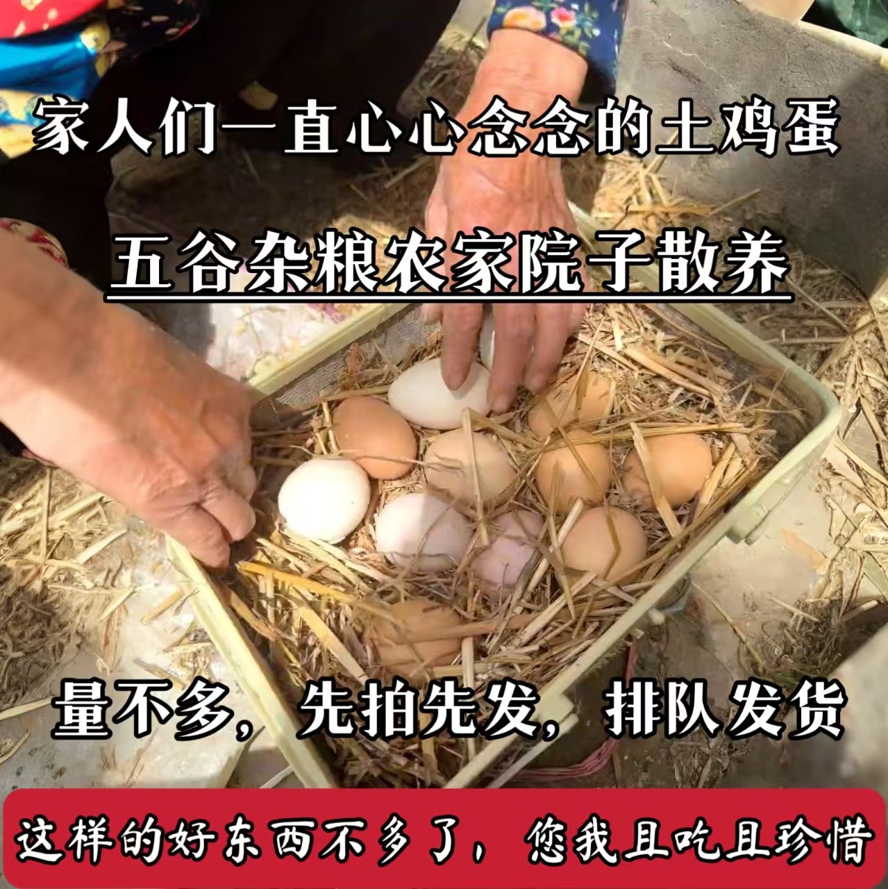 正宗贵州乡村农家散养土鸡蛋新鲜五谷喂养营养丰富宝宝餐新鲜现发