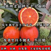 贵州农家自种老品种血橙现摘现发新鲜水果 店主强力推荐