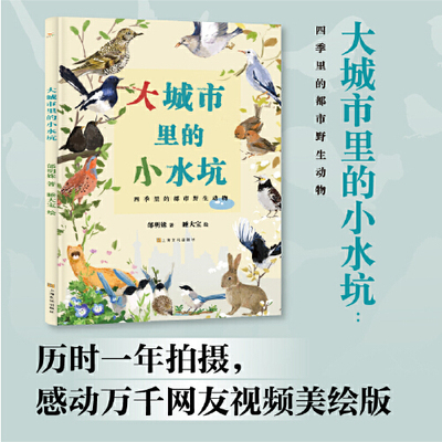 大城市里的小水坑美绘版自然科普