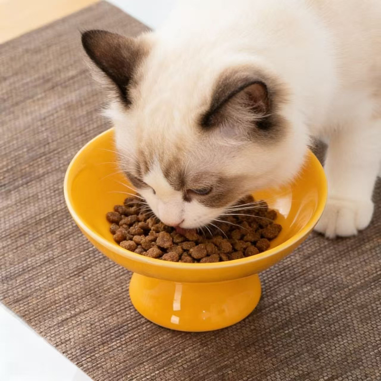 防打翻猫盆猫饮水猫碗猫食盆黑色陶瓷猫咪碗宠物碗狗碗可爱一体,宠物/宠物食品及用品,猫狗碗/慢食碗,淘宝优惠券,粉丝福利购,淘宝优惠卷