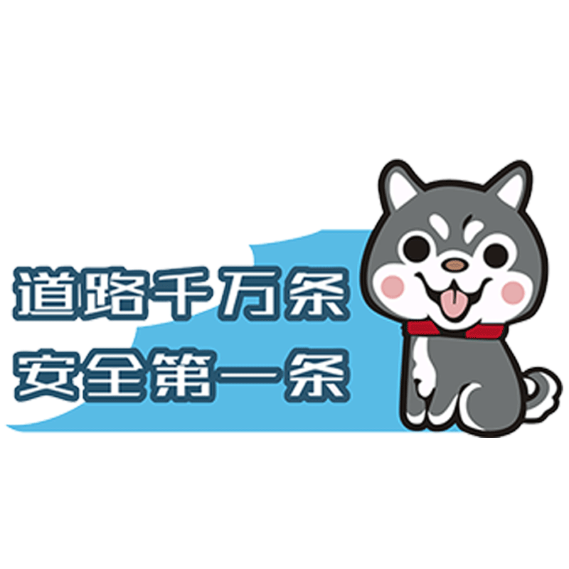 新手上路驾驶实习女司机统一车贴