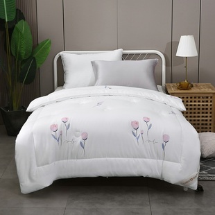 仪征化纤 白斯特纯棉欧式印花单人被芯宿舍学生单人保暖冬被
