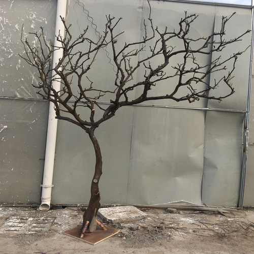 干树枝造景室内庭院原木装饰