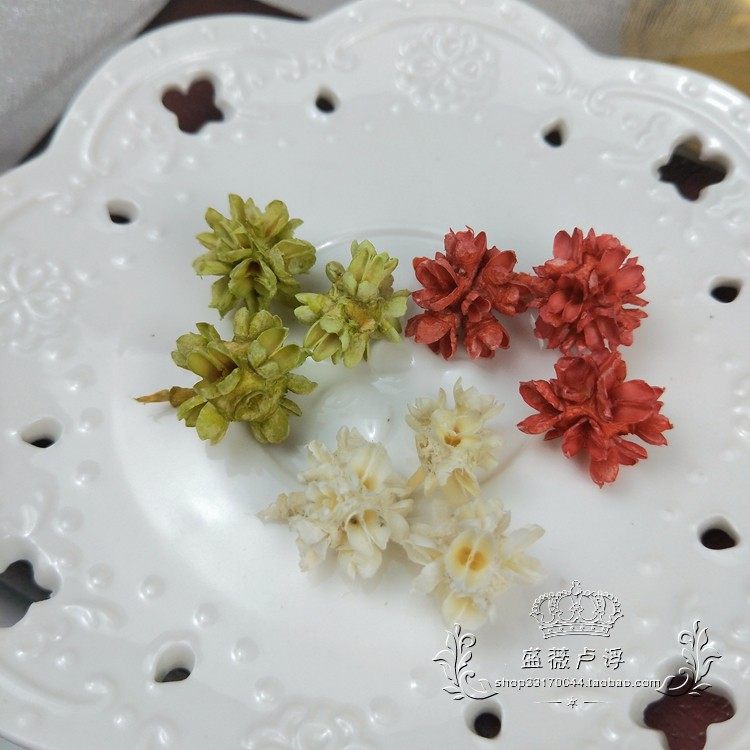进口蝴蝶果多角花球永生花diy材料干果大地农园圣诞手工制作配材