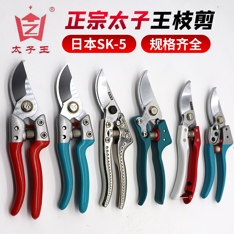 粗枝剪树枝剪德国修枝花卉剪刀