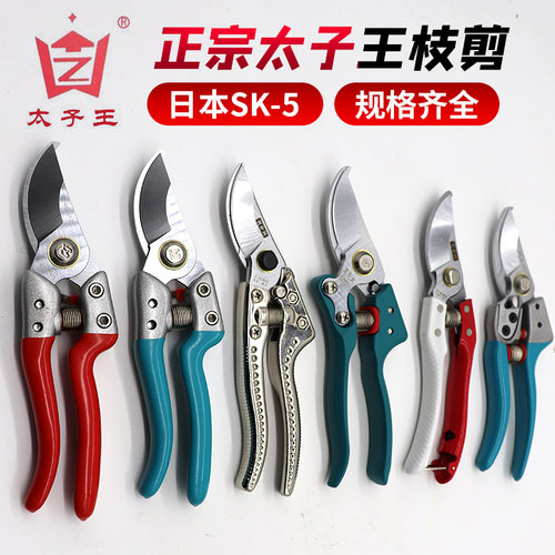 粗枝剪树枝剪德国修枝花卉剪刀