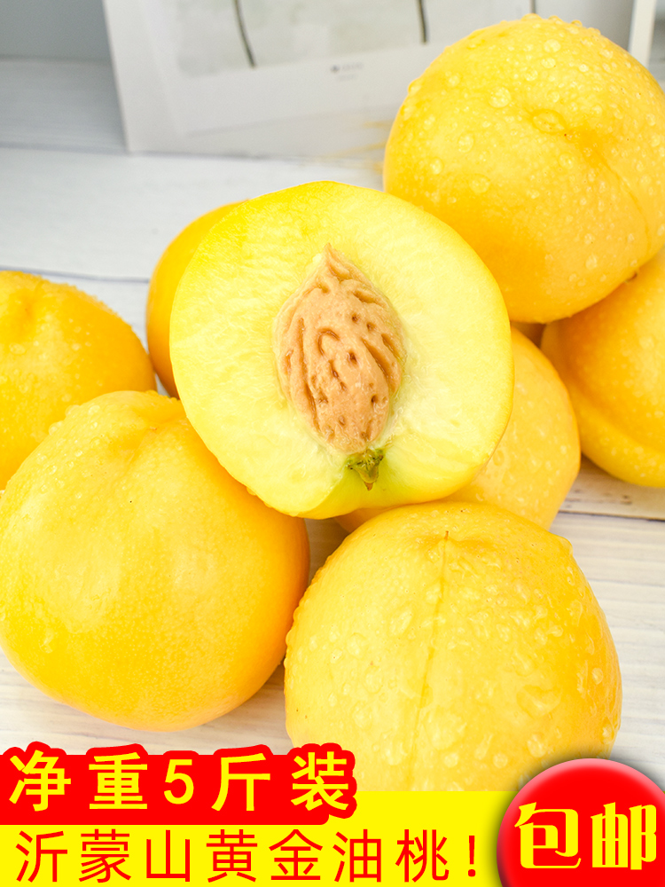 新鲜沂蒙山黄油黄桃包邮1助农整箱5斤当季水蜜桃水果脆桃现摘桃子