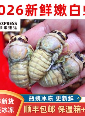 2026新鲜蜕变金蝉嫩知了猴顺丰