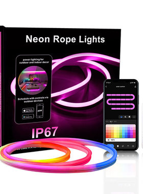 LED Strip Neon Lights Tuya Smart Life WiFi Bluetooth RGB