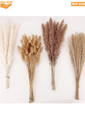 100pcs Room decor dried flower bouquet pampas grass Bohemian