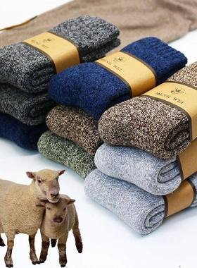 WinterM'sSockupTharm