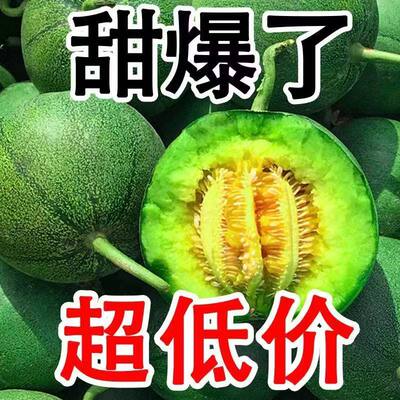 爱上绿宝石甜瓜香瓜农家小甜薄皮