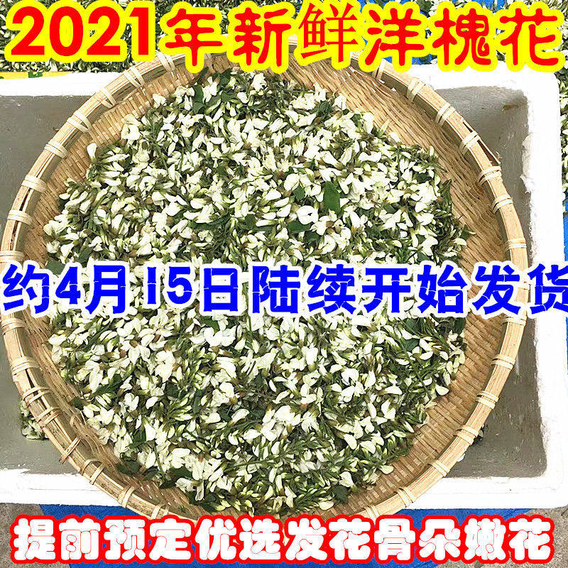 洋槐花价格 洋槐花图片 星期三
