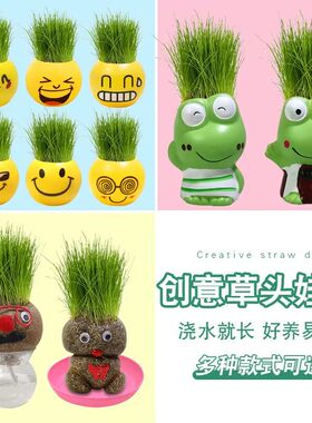 草头娃娃室内桌面迷你水培植物摆件小盆栽头上长草娃娃种植草种子