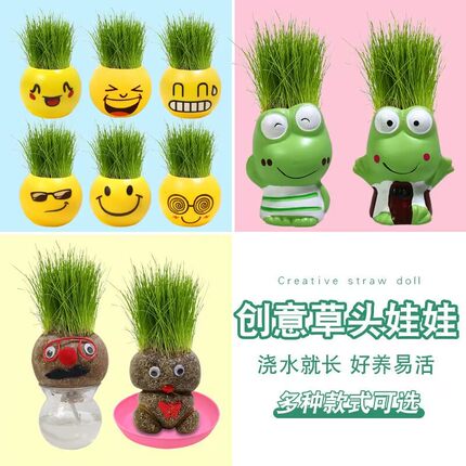草头娃娃室内桌面迷你水培植物摆件小盆栽头上长草娃娃种植草种子