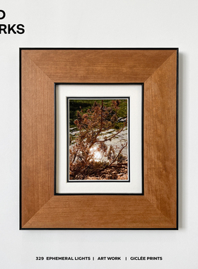 WED 小众阿尔托中古摄影作品装饰画原木中古包豪斯客厅设计师挂画