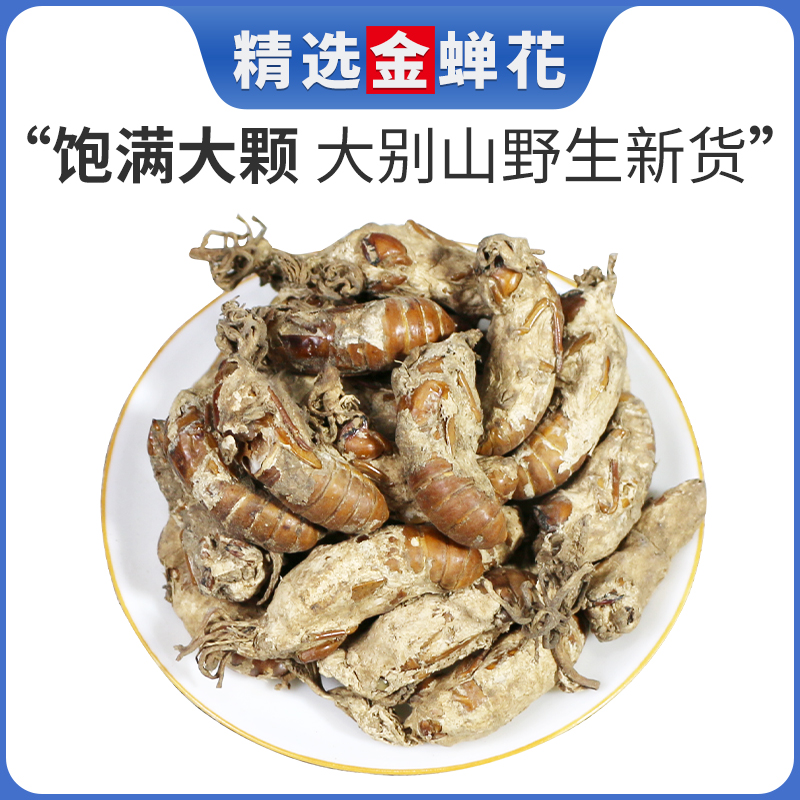 正品野生金蝉花中药材 知了花金蚕花金婵花金蟾花虫草孢子粉