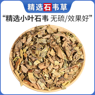 石韦草中药材小叶石韦非野生草肾精草药石背柳化石草石兰散装50克