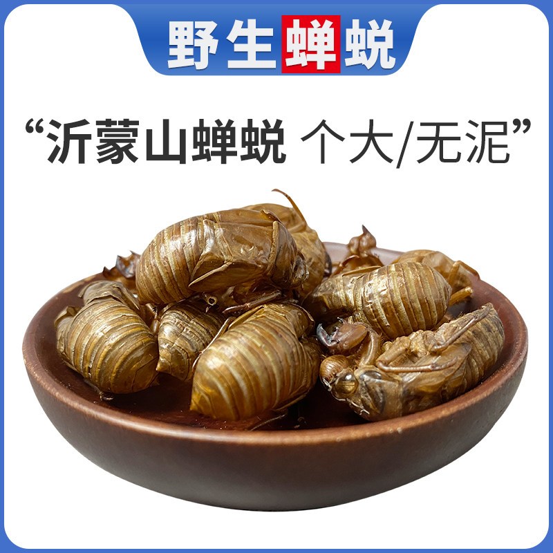 山东蝉蜕100克中药材蝉壳 蝉衣蝉皮蝉退虫退知了猴皮壳水洗净品