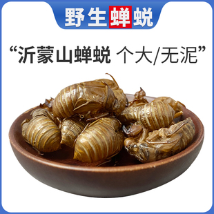 山东蝉蜕100克中药材蝉壳 蝉衣蝉皮蝉退虫退知了猴皮壳水洗净品