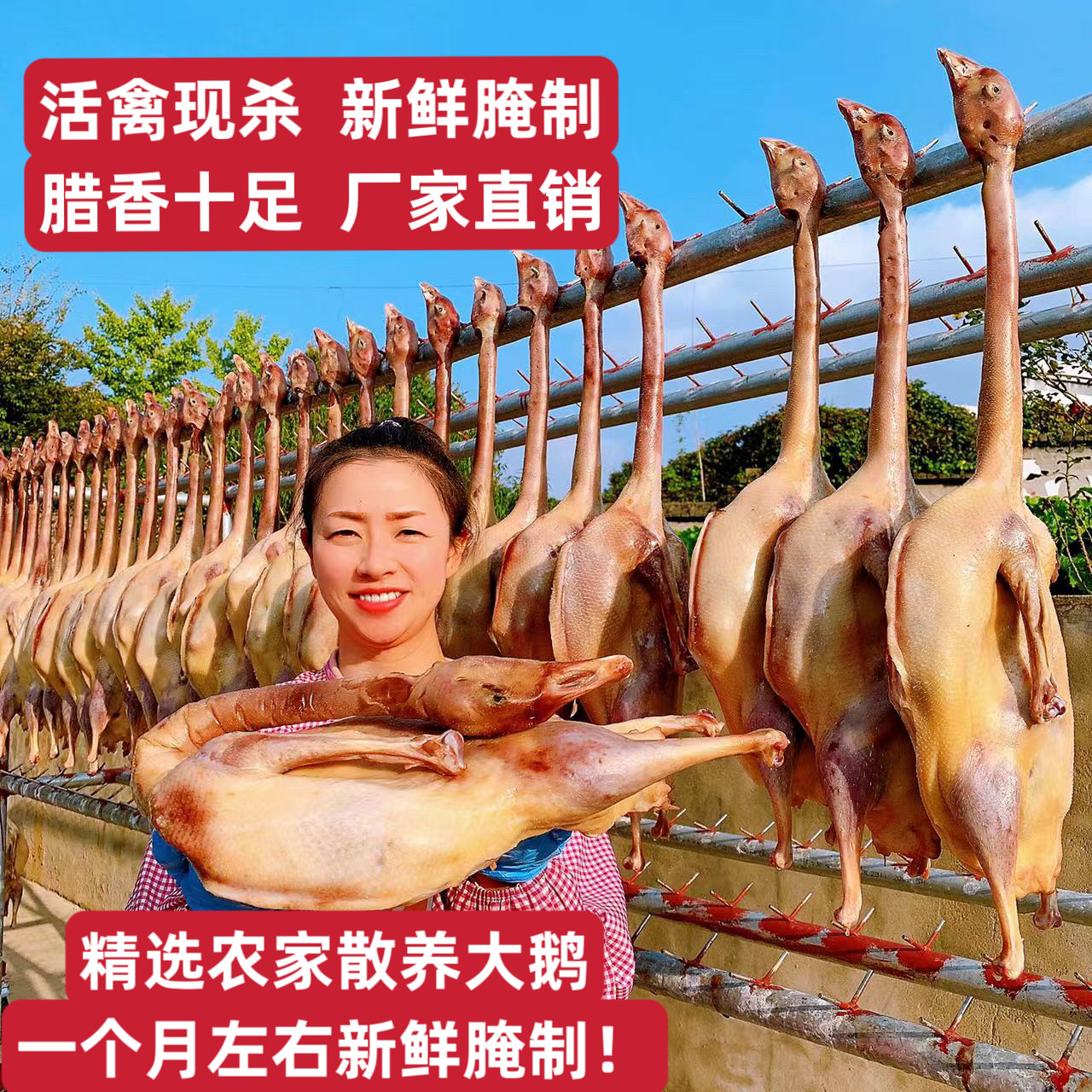 【2只大鹅！】风干咸鹅 腊鹅 风干鸡 咸鸭  板鸭 腊鸭 腊肉 年货