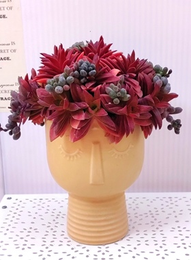 红叶祭带盆栽种好 红色多肉植物创意冥想 黄色陶瓷花盆紫玄月组合