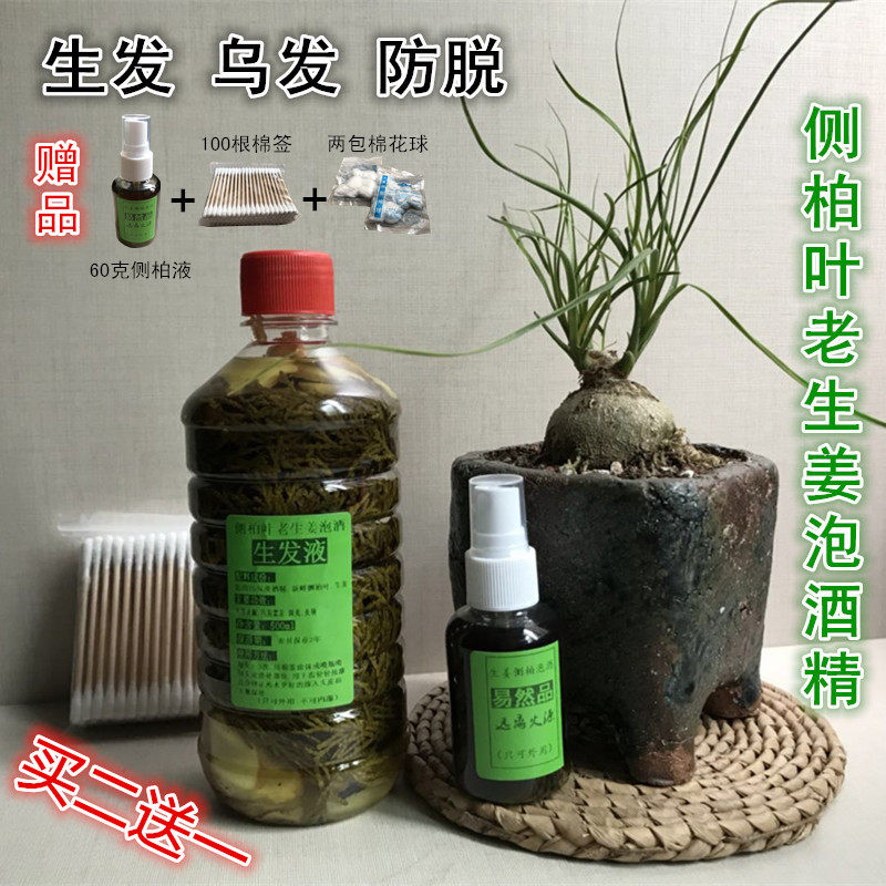 新鲜侧柏叶泡酒防脱生发乌发酒精泡鲜侧柏叶老生姜脂溢性脱发包邮