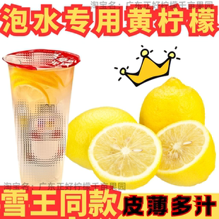 四川安岳黃檸檬泡水冰鮮檸檬水專用皮薄多汁廣東香水檸檬黃果
