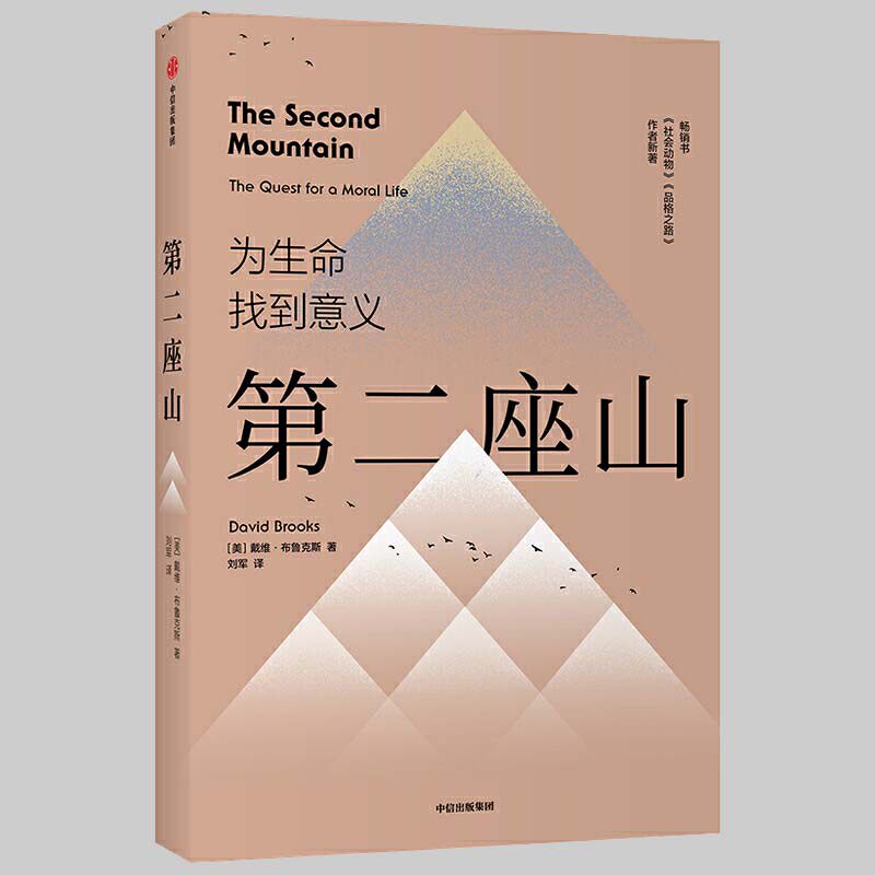 第二座山 戴维布鲁克斯 著 纽约时报畅销书作者全新作品 杨天真 追寻