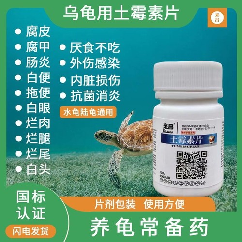 腐皮腐甲肠炎白眼龟用土霉素