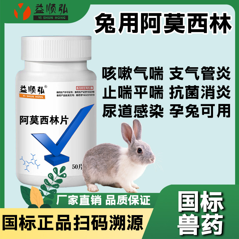 兔子阿莫西林宠物猫狗兔子感冒药腹泻咳嗽抗菌消炎常备兽用药,宠物/宠物食品及用品,水族药品药剂,淘宝优惠券,粉丝福利购,淘宝优惠卷