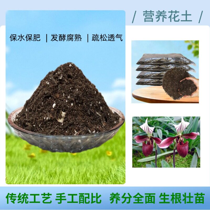 兜兰椰砖营养土肉饼带叶飘带硬叶麻栗坡玉女拖鞋兰仙履兰专用种植