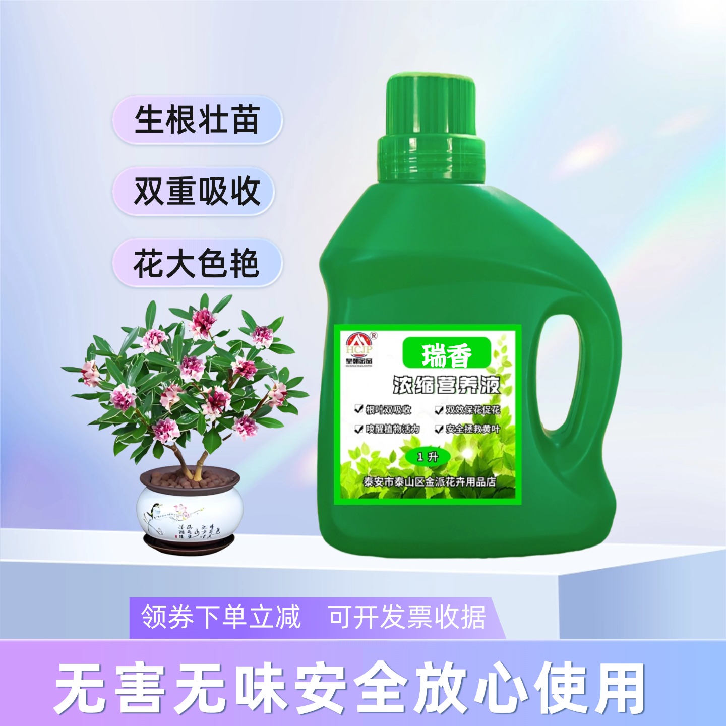 金边瑞香树苗浓缩营养液