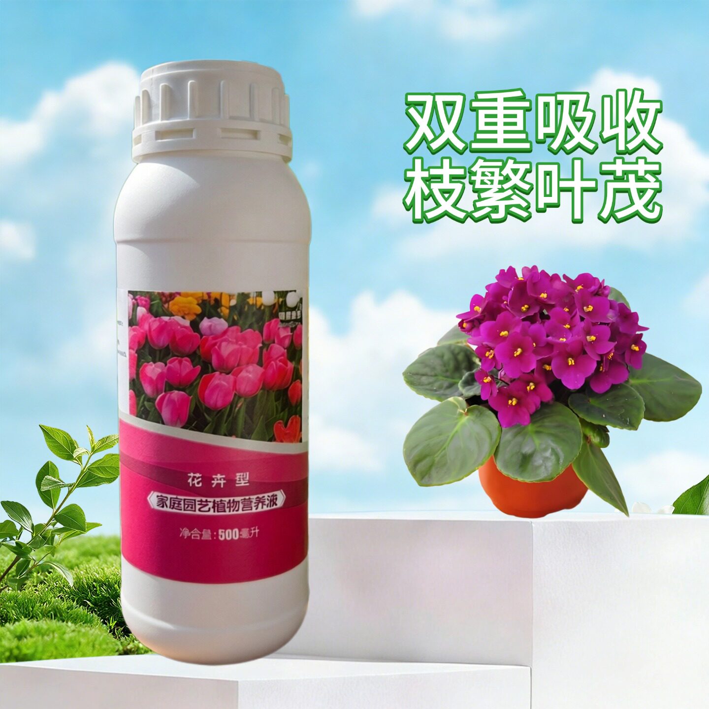 非洲堇紫罗兰盆栽营养液家用室内庭院绿植专用浓缩生根黄叶水溶肥