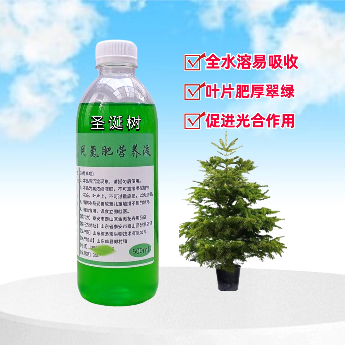 皇朝金品圣诞树氮肥营养液促光合