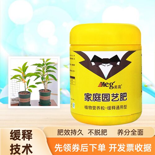 黄兰黄角兰长效缓释肥家用室内庭院黄玉兰黄缅桂盆栽绿植生根壮苗
