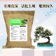 海岛春花树石斑木生物有机肥家用室内庭院盆景老桩盆栽专用基底肥