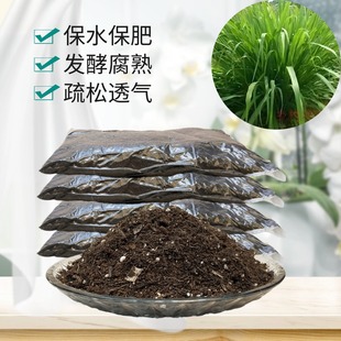 香茅草柠檬草大风草驱蚊营养椰砖土庭院泰国盆栽地栽专用育苗种植