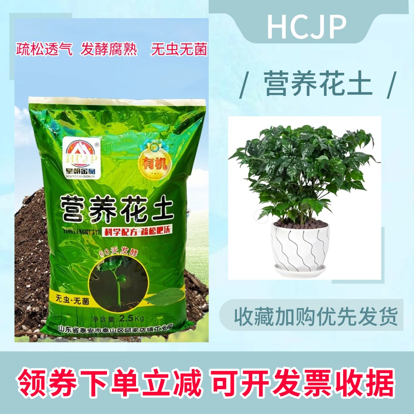 幸福树绿宝菜豆树营养花土家用室内客厅大型盆栽老桩专用有机种植