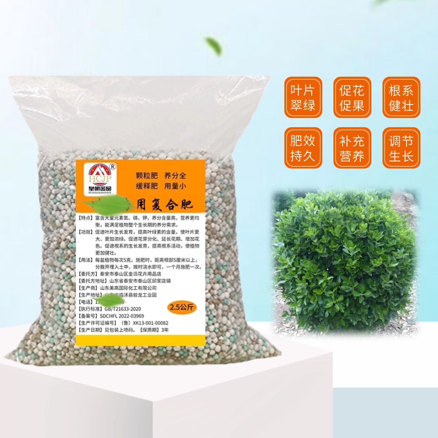 冬青树苗盆栽复合肥缓释肥