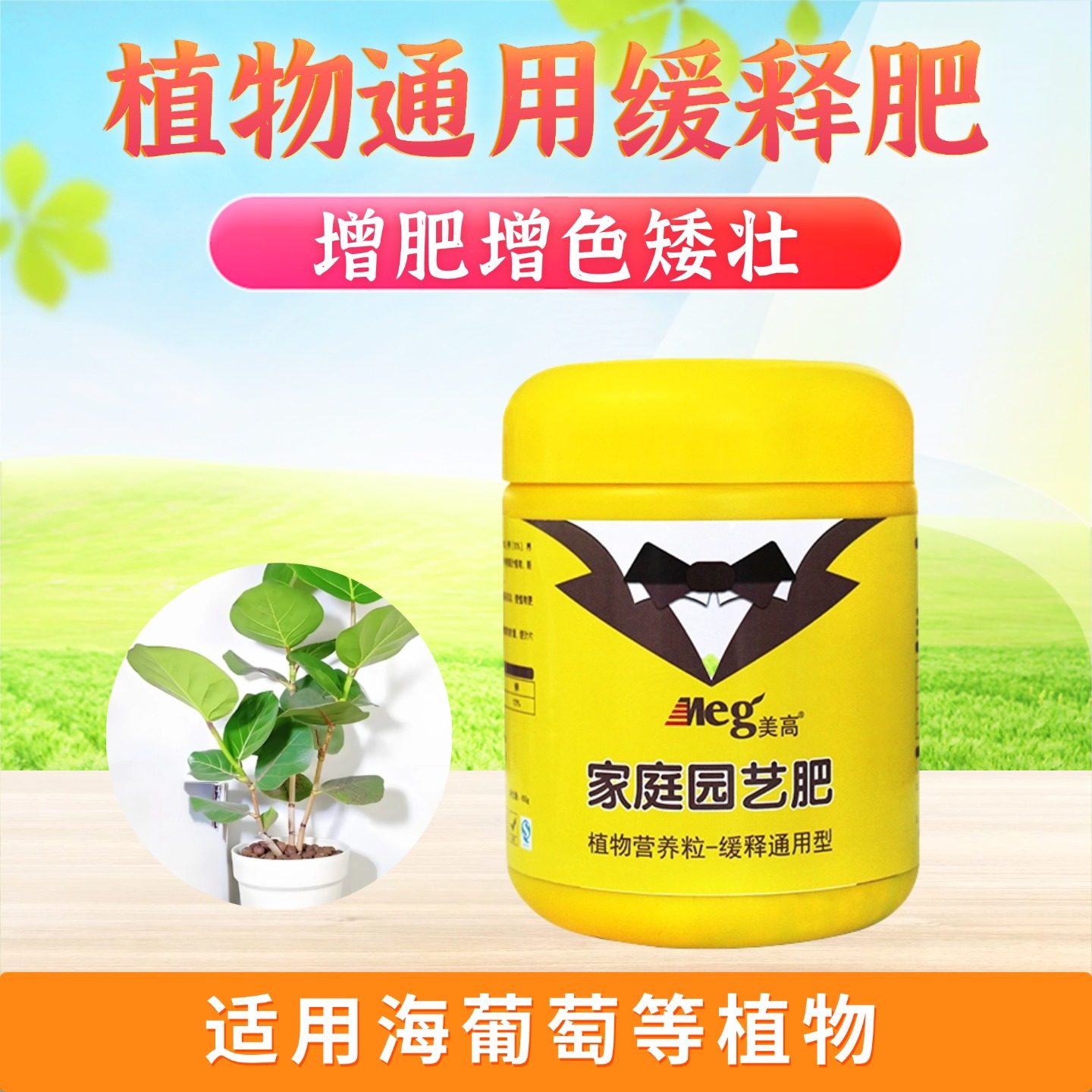 海葡萄大叶绿植长效缓释复合肥料家用圆叶老桩造型盆栽通用养花肥,鲜花速递/花卉仿真/绿植园艺,家庭园艺肥料,淘宝优惠券,粉丝福利购,淘宝优惠卷