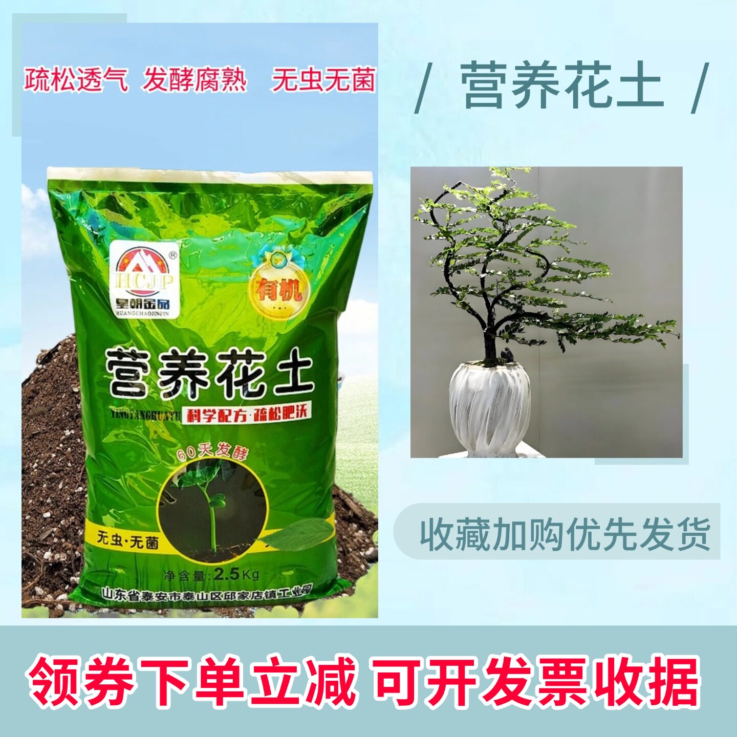 黑骨茶小叶紫檀树苗盆景营养土椰糠家用客厅老桩盆栽专用翻换种植