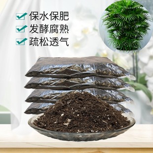 金山棕竹棕榈竹营养椰砖土疏松家用室内客厅盆栽老桩专用育苗种植