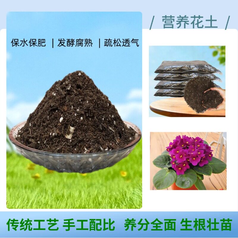 非洲堇紫罗兰盆栽椰砖营养土疏松家用室内庭院绿植通用有机种植土