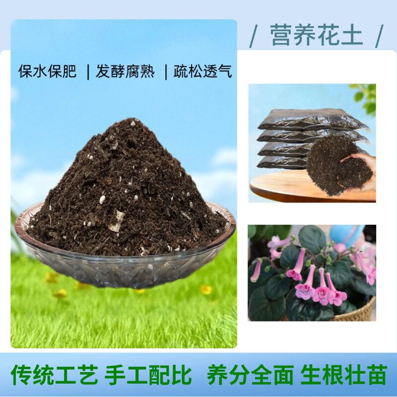 苦苣苔堇兰皮草花椰砖营养土图片