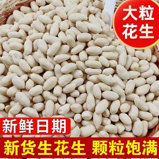 2025年新货去皮生花生米大颗粒批发脱皮花生仁烘焙牛轧糖新鲜原料