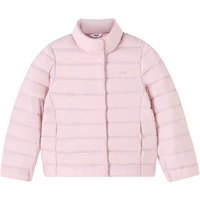 Порошок льда