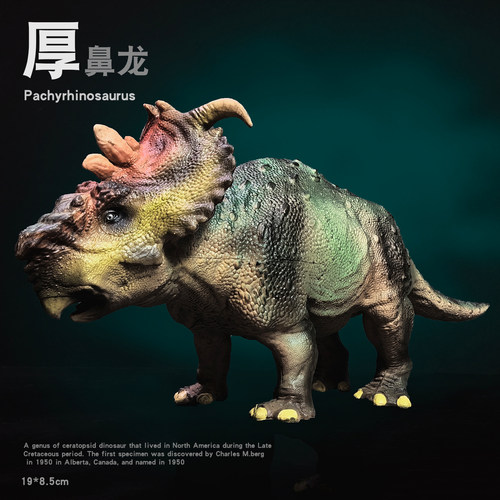 儿童实心仿真恐龙模型玩具厚鼻龙角龙科目食草类认知玩具礼物