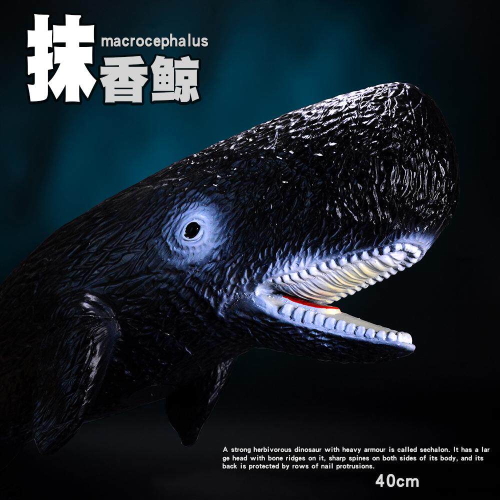 大号海洋生物抹香鲸仿真模型